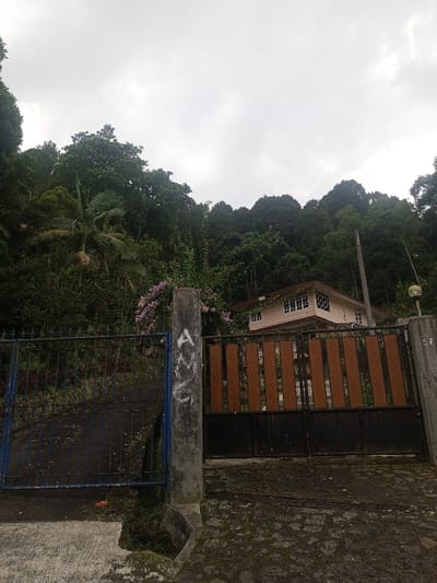 The image presents a static, wide-angle view of a residential property entrance in Bhupalpally, India, set against a backdrop of dense vegetation under an overcast sky. In the immediate foreground, the ground is a rough, textured surface, likely a combination of concrete and stone, exhibiting some moss or dirt.
Two distinct gate sections are visible. To the left, a blue metal gate with a grid-like pattern appears partially open or recessed, leading to an unpaved or overgrown path. To its right, a larger, dark metal double gate is closed. This main gate features vertical brown wooden panels in its upper section and a solid black lower section.
Two concrete gate posts flank these entries. The left post displays "ANG" spray-painted vertically in white. The right post bears the numeral "57" near its upper right corner and has an attached outdoor lamp fixture with a spherical glass diffuser.
Behind the gates and on an elevated plane, a two-story house is visible. It features light-colored walls, possibly cream or beige, and a dark reddish-brown roof. Multiple small, rectangular windows are evenly spaced across its facade. The entire midground and background are dominated by lush, dense green foliage, consistent with a heavily vegetated hillside or forest rising steeply behind the property. Pink flowering bushes are present to the left of the main house structure. The sky is uniformly gray and overcast. No individuals are present, and no actions or interactions are depicted.