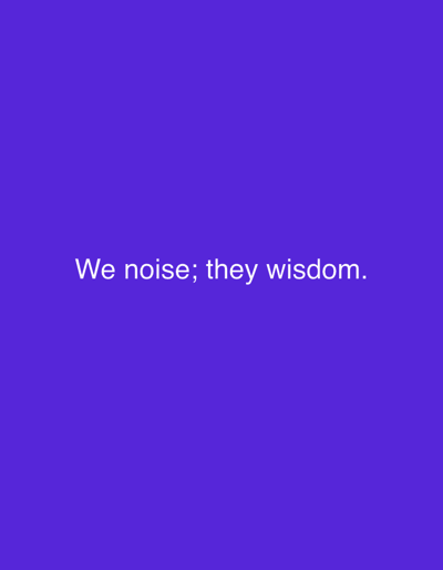 The image is a plain, solid purple background with white text centered on it. The text reads: "We noise; they wisdom." There are no people, objects, or environmental details present in the image. It does not depict any location in the city of Smyadovo, Bulgaria.