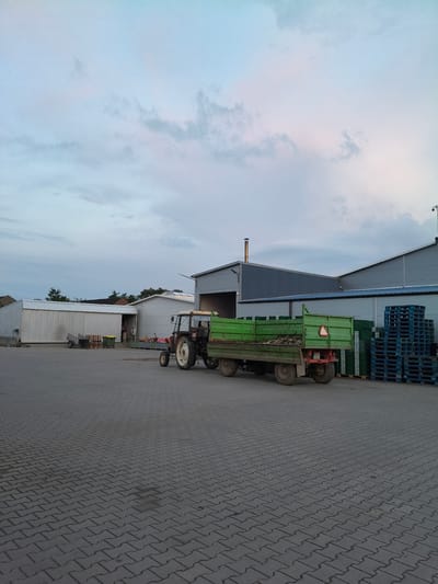 An outdoor scene at a farm or industrial facility in Galonki, Poland, features a red tractor hitched to a green trailer filled with debris. The tractor, positioned in the foreground to the right, has large rear wheels and smaller front wheels. Its rear hitch is connected to a long, rectangular green trailer with a slightly raised front end. The trailer appears to contain organic material.

Behind the tractor and trailer, industrial buildings with metal siding are visible. To the far left, a long, low building with white siding has a hose attached to its exterior wall. In front of this building, a small cart with two wheels and a stack of wooden pallets are present. A yellow trash bin is also nearby. Further to the right, another building has a grey, corrugated metal exterior. In front of this building, there are stacks of green crates and blue pallets. A security camera is mounted on the rooftop of one of the buildings.

The ground is paved with interlocking grey bricks. The sky above is overcast with wispy clouds, tinged with light blue and hints of pink, suggesting either early morning or late evening. The overall impression is one of a working agricultural or industrial yard.