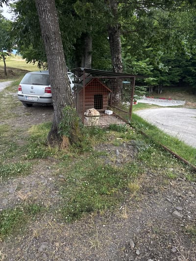 The image depicts an outdoor scene with a dog in a metal-fenced enclosure next to a wooden doghouse. A light-colored dog is visible inside the enclosure. A silver Volkswagen car is parked nearby, partially obscured by a large tree trunk that appears to be leaning or fallen. The car has a license plate that reads "BG FZ111". The setting is rural, with lush green trees and vegetation surrounding the area. A gravel path or road is also visible. The ground is covered with grass, small white flowers, and rocks. The lighting suggests it is daytime, possibly late afternoon due to the shadows. The overall atmosphere seems peaceful and natural. There are no people visible in the image. The location is identified as Mekića Kula, Montenegro.