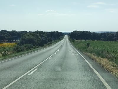 The image captures a straight, empty asphalt road stretching into the distance under a bright, hazy sky. The road is lined with white markings. On the left side of the road, there is a field of sunflowers, followed by a dense line of dark green trees. On the right side of the road, there is a field of green crops, likely corn, with dry, yellowish grass along the edge of the road. The horizon is marked by a thin line of darker vegetation and a faint blueish haze. There are a few scattered, wispy clouds in the sky. The scene appears to be set in a rural area of Carrascal de Barregas, Spain, during daylight hours. There are no people or vehicles visible in the image.