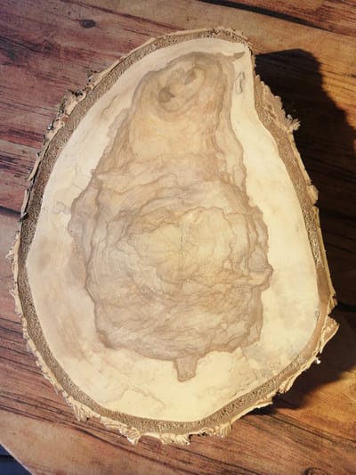 A cross-section of a light-colored tree trunk with visible growth rings and a rough, bark-covered edge is laid on a wooden surface with a wood-grain pattern. The tree trunk is oval-shaped and fills most of the frame. A shadow is cast on the wooden surface to the right of the tree trunk, indicating a light source from the left. The image is taken from a top-down perspective. There is no indication of the city of Yemelyanovo, Russia, or any people present.
