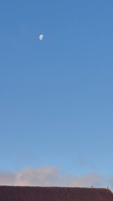 A serene blue sky dominates the image, featuring a crescent moon in the lower left quadrant. The right edge of the frame displays a structure, possibly a building, characterized by a patterned facade. Hints of wispy clouds are visible next to the structure. Two birds are perched on the edge of the structure.