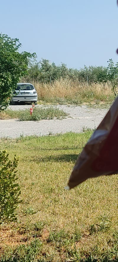 The image shows an outdoor scene, likely a rural or semi-rural area in Λάκκωμα, Greece, under clear, bright daylight. The primary subject is a white panel van, possibly a utility vehicle, parked or stopped on the side of a light-colored gravel or dirt path. An orange traffic cone is visible on the path directly behind the van's rear wheel.

The path runs from the middle ground towards the background, flanked by abundant vegetation. On the left side of the path, there are green leafy trees and bushes in the foreground, and further back, drier, light brown grassy areas mix with green foliage. The right side of the image features a mix of green and dry, yellowish-brown grass and shrubs. The sky above is a clear, light blue with no clouds visible.

In the upper right foreground, a dark, indistinct object partially obstructs the view, appearing to be a folded fabric or plastic item, possibly part of something held by the photographer. No specific activity is discernible beyond the parked vehicle. The license plate on the rear of the van is present but illegible due to the distance and resolution. The overall impression is one of a quiet, sunny day in a natural or undeveloped setting.