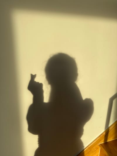 A shadow of a person is cast on a pale yellow wall. The shadow shows the person's head and torso, with one arm extended and fingers in a pointing gesture. The light source appears to be from the right side of the image, creating a strong contrast and sharp edges for the shadow. A sliver of a wooden floor is visible in the top right corner, illuminated by the same light source. The overall impression is one of a casual, indoor setting, possibly a room with a window letting in sunlight. The light and shadow play suggests it is daytime, likely late afternoon given the angle of the light. The extended finger gesture could imply someone is demonstrating something or drawing attention to an object. There is no visible text in the media file.