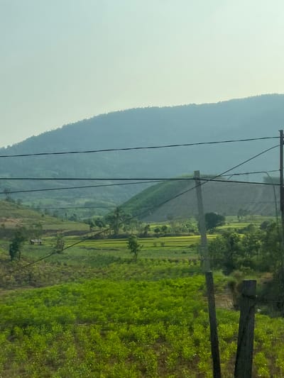 The image shows a landscape in Thôn 18, Vietnam. The view includes a mountain on the left, covered in a blue-gray haze. The sky is a pale blue-gray. Utility poles and power lines run across the frame. To the right is a green field of vegetation, with a mix of short, dense plants and taller grasses. Some cultivated land with rice paddies is visible. Some trees are interspersed throughout the landscape.