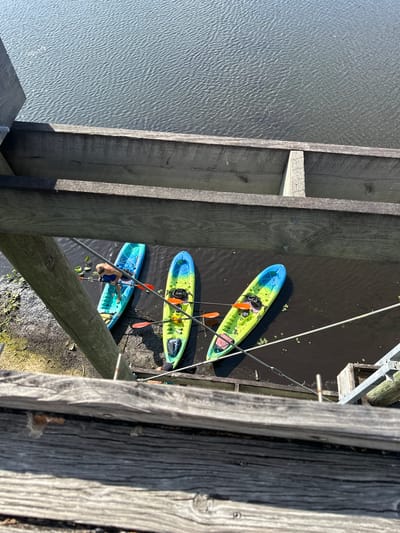 This overhead image captures a serene kayaking scene viewed from a wooden bridge or pier. On the left, a body of water, likely a river or bay, displays numerous ripples on its surface, reflecting bright sunlight. To the right, beneath the substantial wooden framework of the structure, the water is darker and calmer, adorned with patches of green aquatic vegetation.
Three kayaks are positioned in the water beneath the structure. The top kayak is a vibrant blue and lime green, equipped with an orange paddle and a black backpack or gear bag. The middle kayak, also featuring blue and teal colors, similarly has an orange paddle. The third kayak, partially obscured by a wooden beam, is also blue and teal. Inside this kayak is a person, appearing to be a male wearing dark shorts, either preparing for or concluding a kayaking activity.
Numerous wooden planks and beams frame the shot, with additional metal rods or cables extending down from the structure into the water. The clear, bright sunlight indicates a sunny day, likely morning or early afternoon, creating distinct shadows from the wooden elements. Faint text, likely a brand name, is visible on the sides of the two upper kayaks. The setting is consistent with waterways found in Tampa, United States.