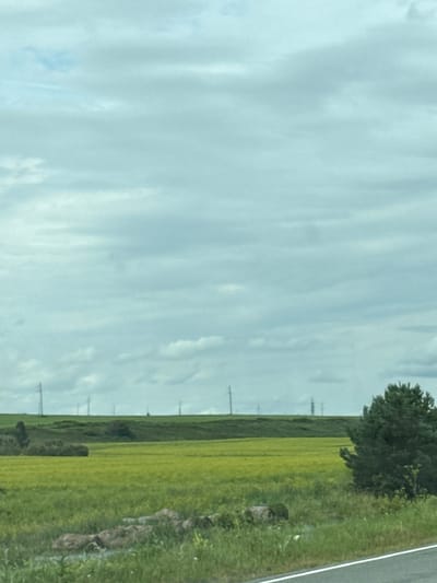 The image depicts a wide, rural landscape under a cloudy sky. In the foreground, a grassy verge with a few scattered rocks leads to a road with a white line. Beyond this, a vast field of vibrant green crops stretches to the horizon. A dark green, dense tree stands prominently on the right side of the frame, partially obscuring the field. In the distance, a line of utility poles with visible wires stretches across the landscape, hinting at human infrastructure within the natural setting. The sky is filled with layered, pale grey and white clouds, with hints of blue sky visible in some areas. The overall impression is one of a tranquil, open countryside. The scene is not specific to the city of Ключи, Russia, but rather represents a generic rural environment.