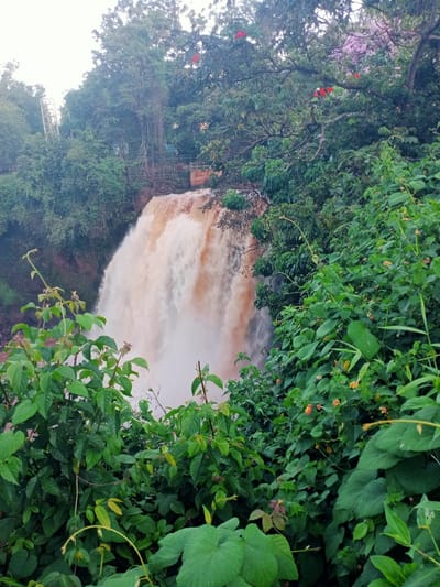 The image depicts a waterfall in a lush, green environment. The water appears muddy brown, suggesting recent rainfall. Dense foliage surrounds the waterfall, obscuring some of it from view. Red and purple flowers are visible in the trees above the falls. A bridge or railing is barely visible above the waterfall through the foliage.