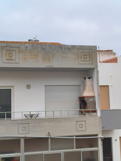 This is a medium-angle, exterior, daylight shot of a building exterior in Nazaré, Portugal. The building is concrete and white, with a tiled roof. The top of the building features a concrete parapet with decorative square indentations and a weathered, moss-covered texture. Two seagulls are perched on the tiled roof near the parapet. Below the parapet is a balcony with a metal railing, a glass-topped table with a V-shaped base, and a gray shuttered window. To the right of the window is a light-colored barbecue chimney with a brick base. The side of an adjacent white building is visible, featuring a brown shuttered window. The lower part of the building shows large windows with a metal frame. The sky is overcast.