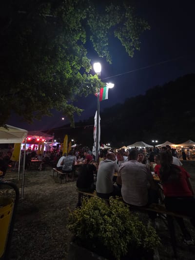 This media file captures a nighttime outdoor gathering, likely a festival or market, in Gara Oreshets, Bulgaria. The scene is illuminated by artificial lights, including bright streetlamps and stage lighting, casting a warm glow over the attendees and the surroundings.

The primary subjects are a large group of people, seen from various angles, engaging in social activities. They are seated at tables, standing, and mingling, suggesting a relaxed and convivial atmosphere. The people are dressed in casual attire suitable for an evening event.

Among the objects, prominent are several tents and marquees, possibly housing vendors or food stalls, indicated by the colorful umbrellas and the stage in the background. A Bulgarian flag is visible, flying from a flagpole, adding a national touch to the event. Trees with lush foliage frame the scene, their leaves illuminated by the artificial lights. The ground appears to be covered in grass and possibly gravel.

The activity taking place is clearly a public event, with a stage set up in the background suggesting live performances or music. The presence of numerous people indicates a festive or celebratory occasion. The time of day is night, as evidenced by the dark sky and the reliance on artificial lighting. The weather appears to be clear, allowing for an outdoor event to proceed.

Notable details include the bright, focused illumination from the streetlights and stage, creating distinct areas of light and shadow. The faint glow of a moon or planet is visible in the dark sky. The overall emotion conveyed is one of community and enjoyment, with people gathered together in a festive setting. No visible text is discernible within the provided media.