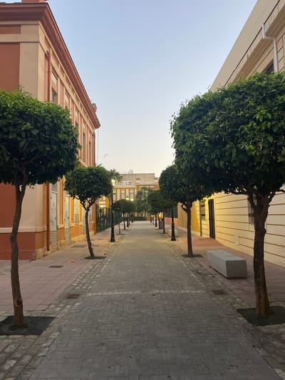 The image depicts a street scene in La Línea De La Concepción, Spain, characterized by buildings lining a pedestrian walkway. On the left, an orange-colored building with white trim and a series of windows runs along the street. In front of this building, several neatly pruned trees with dense green foliage are planted. The walkway is paved with interlocking grey bricks and bordered by a pinkish-red tiled path. On the right, a cream-colored building with horizontal detailing and barred windows is visible. Similar trees are planted along this side, and a modern, grey concrete bench is positioned near the foreground. The street is illuminated by streetlights, casting a warm glow, and a few oranges are scattered on the pavement. The sky above is a soft, pale blue, suggesting either early morning or late evening. The scene is devoid of any people, creating a quiet and serene atmosphere.