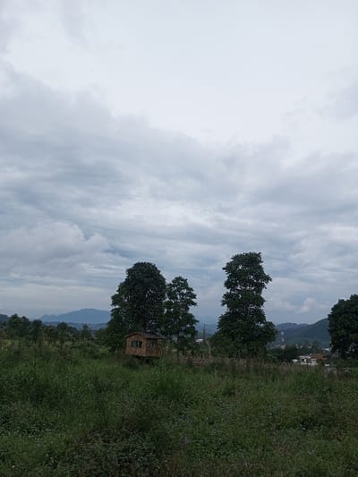 The scene depicts a rural or semi-rural landscape in Abbireddygudem, India, under a heavily overcast sky filled with dense grey clouds. The foreground is dominated by uncultivated green vegetation, consisting of tall grasses and various plants. In the midground, a small, elevated wooden structure with a sloped, dark roof and small openings is visible, positioned amidst several tall, dark green trees. Further in the mid-distance, scattered residential buildings are discernible on a slight elevation. A range of hazy, blue-tinged mountains forms the distant background horizon. No individuals, animals, or specific activities are present in the image.