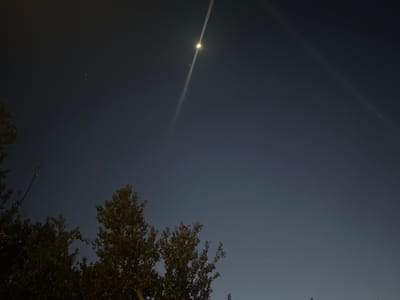 The image depicts a night sky over Oak Park, United States of America. The sky is a dark blue gradient, with a crescent moon positioned high in the frame, emitting a vertical light streak. Several stars are sparsely scattered across the sky. In the lower portion of the image, tree branches are visible, silhouetted against the night sky.