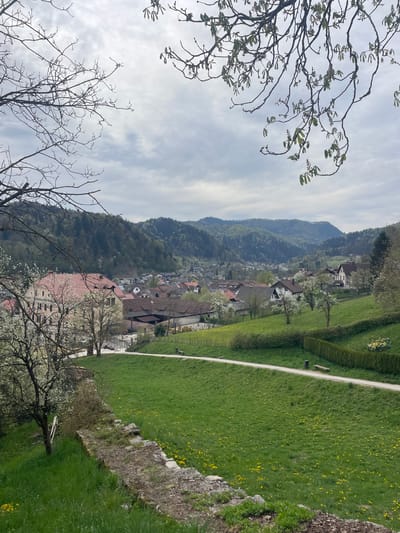 The image shows a view overlooking part of Škofja Loka, Slovenia. A tree with budding leaves occupies the left foreground, framing the scene. The view extends to a valley dotted with houses and buildings, surrounded by forested hills. A path, a lawn with yellow flowers, and a stone wall are visible in the right foreground. The sky is overcast with grey and white clouds.