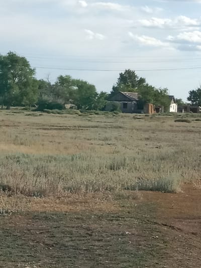 The image shows a wide, open field with dry grass and some greenery. In the background, there are several dilapidated buildings, suggesting an abandoned settlement. Trees are scattered around the buildings and along the horizon. The sky is partly cloudy, indicating it's daytime, likely late afternoon due to the soft lighting. The overall scene conveys a sense of rural isolation and decay. There are no people visible in the image. The setting appears to be Arkalyk, Kazakhstan, a city known for its mining industry and surrounding steppe landscape, which aligns with the visual cues of the image.