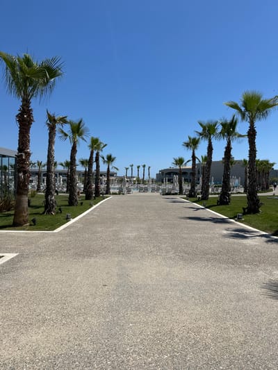 The image depicts a paved walkway in Kalyves Polygyrou, Greece, lined with palm trees on one side and an unclear view towards an outdoor resort or recreational area on the other. The walkway surface appears to be light gray, possibly concrete or asphalt, with a textured finish. A row of palm trees casts shadows along the edge of the walkway, while the sky above is clear and blue. The resort or recreational area on the left features chairs, umbrellas, and a building visible in the distance. The image is taken during daylight hours.