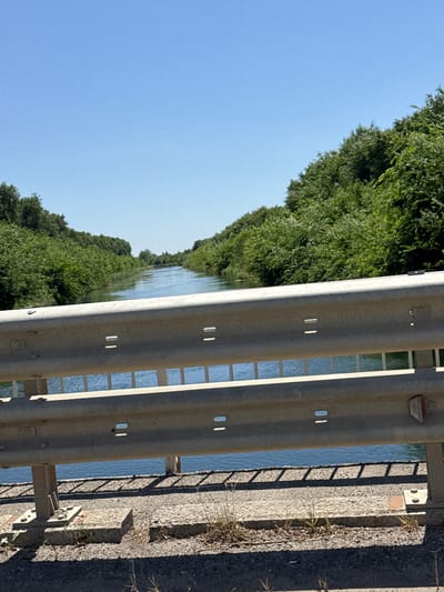 A wide, straight canal with calm blue water flows through a densely vegetated area under a clear blue sky. The canal is flanked on both sides by thick, green foliage, forming an almost tunnel-like effect. In the foreground, a silver metal guardrail with multiple horizontal bars runs across the image. The guardrail is supported by concrete pillars. The ground beneath the guardrail is paved with a rough, gray surface, with patches of dry grass and weeds growing through cracks. The sun casts distinct shadows from the guardrail and vegetation onto the ground. There are no people visible in the image. The scene appears to be an outdoor, rural or semi-rural environment.