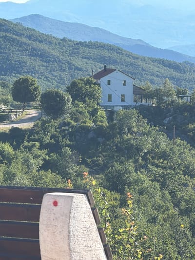 This is an outdoor, eye-level, medium shot photograph taken on a sunny day, featuring a rural mountainous landscape in Ponikvica, Montenegro. In the foreground, the corner of a wooden bench with dark brown slats is visible, along with a portion of a textured, light-colored concrete pillar that has a small red dot on its surface. Beyond the bench and pillar, lush green trees and foliage dominate the scene, with some lighter-colored leaves and rocks interspersed. A winding dirt road is visible in the middle ground, leading towards a wooden fence and a single tree. Further back, nestled on a slope amidst the trees, stands a two-story white house with a reddish-brown roof. The house has several windows and an attached covered porch. In the background, layers of rolling green hills and mountains fade into a hazy blue sky. The overall impression is one of a peaceful, remote, and natural setting.