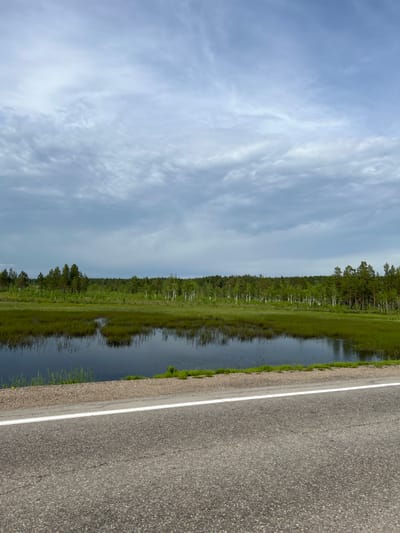 A paved road with a white line runs horizontally across the lower part of the frame. Beyond the road is a body of dark water reflecting the sky and surrounding vegetation. The water is bordered by tall, green grass and reeds. Further back, a dense forest of trees, including birch and pine, stretches across the horizon. The sky above is overcast with soft, grey clouds. The scene appears to be a natural landscape, possibly near a body of water in Burdakovka, Russia. There are no people or animals visible in the image.