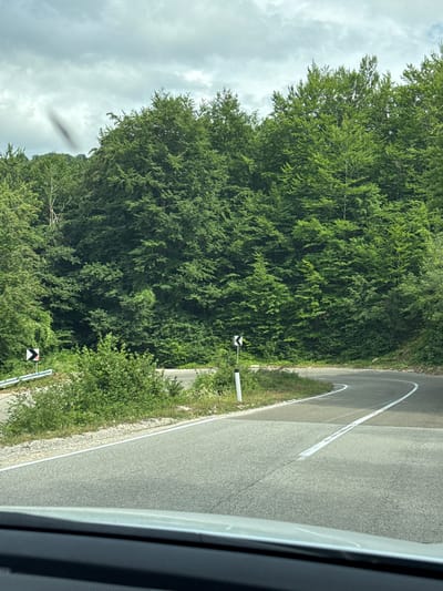 The image shows a winding road in a dense, green forest. The road has white lane markings and a guardrail on the left side. There are also road signs indicating a sharp curve to the right. The forest is composed of tall, leafy trees, and the sky is overcast with some clouds. The perspective of the image suggests it was taken from a vehicle traveling on the road. The scene is likely located in the municipality of Šavnik, Montenegro, known for its mountainous terrain and extensive forests.