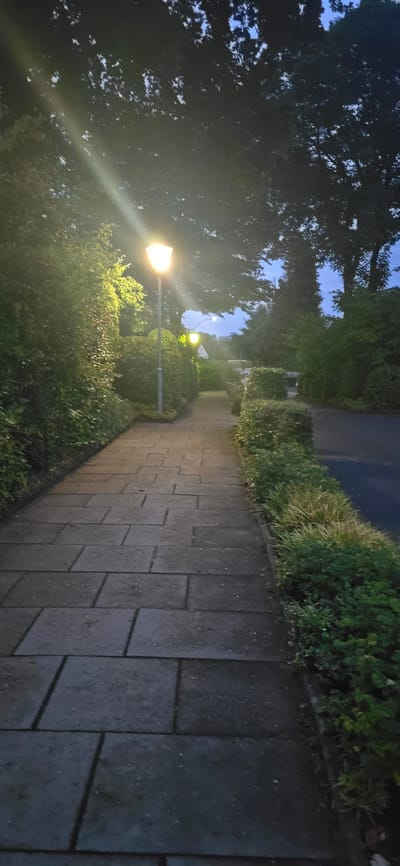 The image depicts a paved pathway lined with neatly trimmed hedges on the left and a road with more vegetation on the right. Two streetlights are visible along the pathway, one more prominent than the other further down. The scene appears to be in a suburban or park-like setting, given the presence of trees and manicured greenery. The sky is dark blue, suggesting it is either dusk or dawn. There are no people or animals visible in the image. The location is identified as Seevetal, Germany.