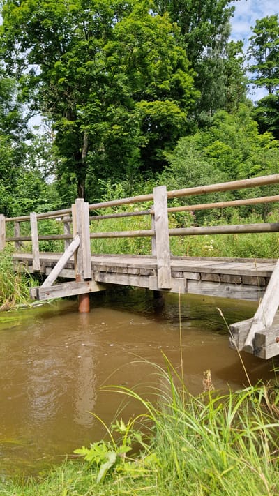 The image shows a wooden bridge crossing a muddy, shallow river in Embūte, Latvia. The bridge is constructed from rough-hewn logs and planks, with a simple wooden railing. Tall green trees and dense foliage form the background, indicating a natural, possibly wooded, environment. The river water is a murky brown, and the banks are lined with grass and reeds. There are no people or animals visible in the scene. The overall impression is one of a rustic, natural setting, possibly a rural or park area.