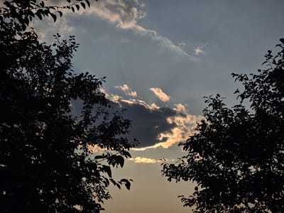 This is a silhouette of trees against a cloudy sky at dusk. The image was captured in Myhalky, Ukraine. The sky is a blend of soft grays and pale oranges, with sunlight filtering through gaps in the dark, wispy clouds. The branches of two trees frame the scene from the left and right sides, their dark foliage creating a stark contrast against the luminous sky. The overall impression is one of a serene, natural landscape as day transitions into night.