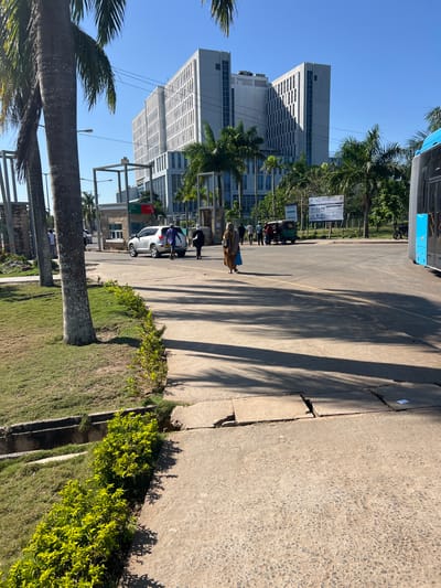In Mloganzila, Tanzania, a large, modern, multi-story building with a white facade and many windows stands in the background under a clear blue sky. Palm trees are scattered throughout the scene. In the foreground, a paved road with yellow lane markings is visible. Several people are walking on the road, and a silver SUV is parked near a building entrance. A blue bus is parked on the right side of the image. The ground is a mix of pavement and grass. A low hedge runs along the edge of the paved area.
