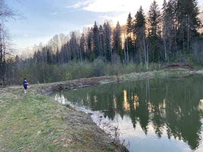 The image depicts a person fishing by a lake near Баклуши, Russia. The person, located on the left bank, wears a cap, a patterned blue shirt, and dark shorts. They hold a fishing rod, facing the water. The lake reflects the surrounding trees and sky. A forest, consisting of both deciduous and coniferous trees, lines the opposite bank. The sky is partly cloudy, suggesting either sunrise or sunset. The foreground shows grassy vegetation along the lake's edge.