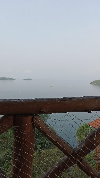 A misty view of a body of water with scattered landmasses and what appear to be structures. A rustic wooden fence with a wire mesh overlay frames the scene. Green foliage is visible through the mesh, suggesting a tropical or lush environment. The fence is constructed with thick wooden posts and crossbeams, giving a sense of solidity and age. The fog obscures the horizon.