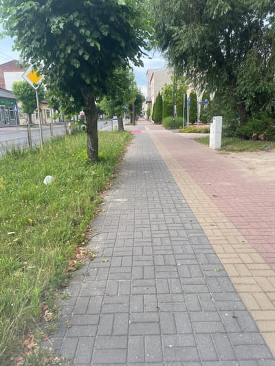 The image depicts a sidewalk in Konstantynów Łódzki, Poland, lined with trees and buildings. The sidewalk is paved with interlocking grey bricks and has a textured yellow and red strip along its edge. To the left of the sidewalk is a grassy area with some weeds and a plastic bag. Beyond the grass, a metal fence separates the sidewalk from a street with cars and buildings, including shops. To the right of the sidewalk, there are more trees, bushes, and a white utility box. In the distance, a crosswalk is visible. The sky is overcast.