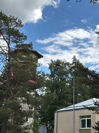 This image captures a scene with trees and buildings under a sky with clouds. The composition is oriented such that the sky is on the left and the buildings and trees are on the right, with the image rotated.
The subjects include several large evergreen trees, their branches and needles filling a significant portion of the frame. Visible through the trees are parts of two buildings. One is a multi-story building with a light-colored, textured facade, featuring a window with white panes. Adjacent to it, and slightly behind, is another building with a distinctly angled, silver-colored roof. A smaller, more distant building with a green-colored section and a red-colored section is partially visible, peeking through the dense foliage of the trees. A street light with a curved pole is also present, extending from the right side of the image and curving towards the center. A round sign with a horizontal line through it is visible near the top right of the frame.
The activity, if any, is not apparent. The scene appears to be a quiet, possibly residential or suburban area, given the presence of buildings and trees. The time of day appears to be daytime, indicated by the bright sky and visible clouds. The weather seems fair, with a mix of blue sky and white clouds. There is no visible text in the image. The location context of Olaine, Latvia, suggests a setting in that region.