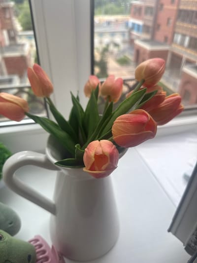 A bouquet of peach-colored tulips sits in a white ceramic pitcher on a windowsill. The pitcher has a handle on the left side. Behind the tulips, green leaves are visible. Outside the window, brick buildings with multiple windows are visible, suggesting an urban or suburban environment. The lighting suggests it is daytime.