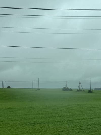 The image depicts a green field adjacent to a series of power lines. The sky is overcast and grey, suggesting possible rain or heavy cloud cover. In the distance, there are additional power poles and possibly trees or vegetation. The photograph was taken in the city of Myaglovo, Russia.
