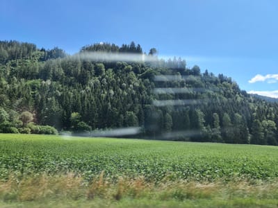 The image depicts a wide, lush green field of crops stretching across the foreground, with the foreground grasses appearing dry and blurred, suggesting movement. Behind the field, a dense, dark green forest covers the slopes of a hill. A hazy mist or fog drifts across the upper portion of the forest, creating horizontal streaks of lighter color. The sky above is a clear, bright blue. The scene is framed by what appears to be the edge of a window or a car, with slight glare lines obscuring parts of the image. The location is identified as Dürnstein in der Steiermark, Austria.