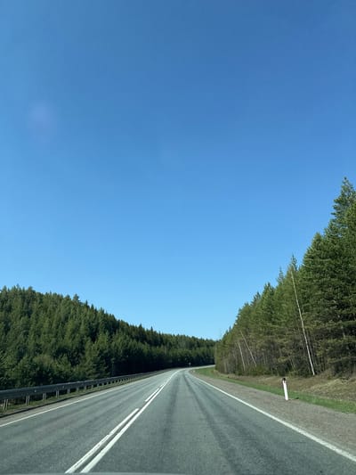 A landscape photograph depicts a stretch of road cutting through a forest under a clear blue sky. The road, appearing asphalt-paved with white lane markings and a roadside barrier, stretches towards the vanishing point. Trees densely line both sides of the road, forming a green canopy along the edges of the frame. A tall white pole stands to the right of the road. The scene is located in Osinovka (Polozovskii S/S), Russia. No people or subjects are present.