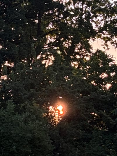The image depicts a close-up view of dense green foliage, likely tree leaves, against a softly lit sky. The sun is partially visible through the leaves, creating bright, warm spots of light. The sun's rays appear to be diffused, suggesting a soft or hazy atmosphere, possibly due to twilight or a slightly overcast sky. The overall impression is one of natural beauty, with the interplay of light and shadow creating a serene and peaceful mood. The location context is Mārupe, Latvia, which implies an outdoor setting within a temperate climate, likely during the spring, summer, or early autumn months when trees are in full leaf. The time of day appears to be either sunrise or sunset, given the warm glow of the sun and the diffused light. There is no text visible in the image.