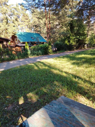 The image depicts a sunlit outdoor scene with a wooden house featuring a turquoise roof, surrounded by tall pine trees. A black metal fence separates the house from a paved pathway, beyond which is a grassy area with scattered small white flowers. In the foreground, a portion of a weathered wooden bench is visible, its surface showing remnants of blue paint. The scene is located in the city of Stroitel', Russia, characterized by its natural, semi-rural environment with coniferous trees and a residential structure.