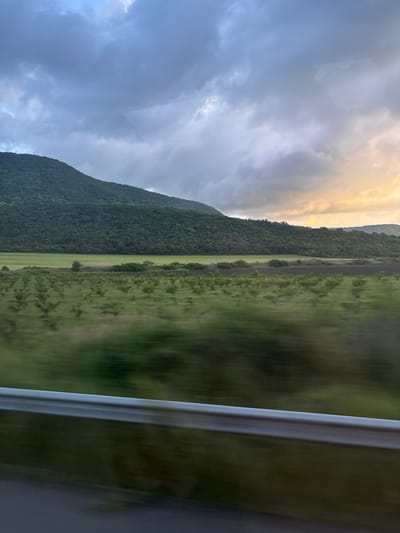 A landscape photograph taken from a moving vehicle, possibly a train, features a verdant field bordered by a densely forested mountain on the left. The sky is cloudy with hints of golden light peeking through. A window frame is visible on the right, creating motion blur, a consequence of a fast-moving vehicle. The location seems to be in or around Mogila, Bulgaria, where similar landscapes of fields and mountains occur.