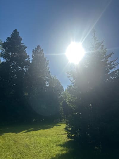 The original image displays a vibrant outdoor landscape, appearing as if taken in portrait orientation and rotated 90 degrees counter-clockwise. The central subject is an intensely bright sun, positioned in the middle-left of the frame, emitting powerful rays and causing significant lens flare that spans across the top and left portions of the image. The sky, where visible, is a clear, cloudless blue.

Dense, dark green foliage from numerous trees occupies the upper half and extends down the right side of the image. Some branches closer to the sun are backlit and appear hazy due to the strong glare, while other sections of the trees are in deeper shadow. The lower right of the image reveals a lush, vibrant green lawn or grassy field, sharply illuminated by the direct sunlight. Distinct shadows, presumably from the trees, stretch across the grass from the left, highlighting the texture of the blades and indicating the sun's low angle.

The strong, direct sunlight, clear blue sky, and pronounced shadows suggest a very sunny day, likely in the early morning or late afternoon. There are no people, man-made objects, or discernible text within the frame. The scene captures a peaceful natural environment, conveying warmth and serenity. This tranquil landscape is located in Areyskoye, Russia.