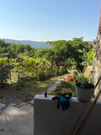 A sunny, slightly hazy, outdoor shot shows a garden with a stone wall on the right, extending from the foreground to the background. The wall is constructed of rough, irregular stones and has white paint splatters on it. In the foreground, a white concrete ledge runs horizontally across the frame. On the ledge, a pair of blue gardening gloves with red trim lies next to a white planter with a green leafy plant. Two bamboo stakes lean against the wall. The garden itself is lush with numerous rose bushes in bloom, displaying pink and yellow flowers. There are also other flowering plants and green foliage. A paved pathway meanders through the garden. In the distance, rolling green hills under a clear blue sky complete the scenic view. The scene is set in Gorno Pavlikene, Bulgaria.