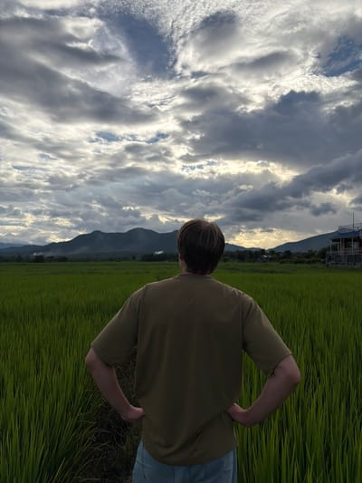 The image depicts a person from behind, standing in a vibrant green rice field. The person is wearing a greenish-brown t-shirt and light-colored pants, with their hands placed on their hips. The rice field stretches out expansively, with rows of tall green stalks. In the background, a range of mountains is visible, partially shrouded in mist. The sky above is dramatic, filled with a mix of dark, heavy clouds and lighter, more diffused clouds, with patches of sunlight breaking through, suggesting an approaching storm or the aftermath of one. On the right side of the image, a multi-story building with a blue roof is situated at the edge of the field. This scene is located in the city of Ban Pong, Thailand, known for its agricultural landscapes.
