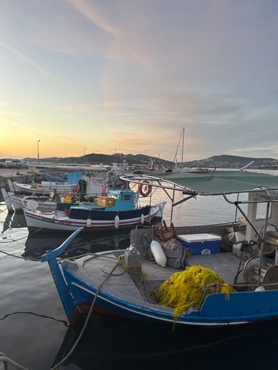 Several boats dock at a harbor. The boats, varying in size and color, are equipped with fishing gear such as yellow nets, ropes, and buoys. Their colorful exteriors feature white, blue, and red details. In the background, a coastline stretches along the horizon under a sky transitioning from golden sunlight near the water to pale blue at the top. A few sailing boat masts are visible among the docked fishing boats.