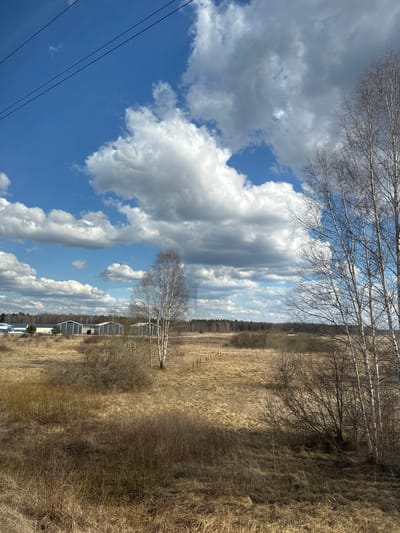 The image depicts a landscape in Kalngale, Latvia. The foreground consists of a field of dry, golden-brown grass and shrubs. A few leafless birch trees stand in the field. A light-colored structure resembling a building or shelter is partially visible behind the birch trees. In the background, a line of trees forms a distant horizon. The sky occupies a significant portion of the image, filled with a mix of blue sky and large, billowing white and gray clouds. Power lines are seen in the lower-left corner.