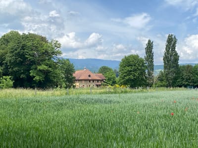 The image depicts a rural scene near Boudry, Switzerland. In the foreground is a field of green crops, possibly wheat or barley, with scattered red poppy flowers. Behind the field is a fence and a row of trees. A large house with a red tile roof is partially obscured by the trees. The house has decorative exterior walls and windows. Beyond the house, in the background, are rolling hills and a cloudy sky. Two tall, narrow trees are visible on the right side of the frame. The overall impression is one of a peaceful, agricultural landscape.