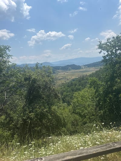 The image captures a panoramic view of a lush green valley in the vicinity of Dorkovo, Bulgaria. The foreground is adorned with a dense arrangement of wildflowers and tall grasses, bordering a weathered wooden railing. Beyond this vibrant meadow, the landscape unfolds into a verdant expanse of trees, punctuated by a winding road that snakes through the terrain. In the distance, a series of rolling hills and mountains, shrouded in a soft blue haze, stretch towards a clear sky dotted with fluffy white clouds. The overall scene evokes a sense of natural beauty and tranquility, characteristic of the Bulgarian countryside.