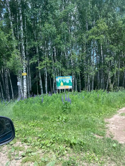 A dirt road curves through a grassy field with scattered wildflowers, bordered by a dense forest of birch trees. Two signs are visible: one small yellow sign on a birch tree and a larger, colorful sign to the right depicting a forest scene with a campfire and a silhouetted figure. The larger sign also has Russian text, possibly indicating regulations or information about the area. A car's side mirror is visible in the lower left corner of the frame, reflecting the surrounding greenery and sky. The environment is natural and appears to be a park or recreational area. The specific location is the city of Korovino, Russia.