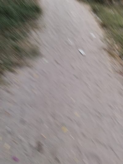 The image, captured in Gombato Bongwe ward, Kenya, depicts a heavily motion-blurred outdoor scene. A light-colored, unpaved surface, consistent with a dirt or gravel path, traverses the frame diagonally from the lower-left to the upper-right. Blurred streaks of green and brown vegetation are visible along both edges of this central path, suggesting grass or shrubs. Several indistinct, small, light-colored objects, appearing as blurry specks, are scattered across the path, with one object in the mid-right area presenting a somewhat elongated, rectangular form. There are no discernible people, specific subjects, actions, or interactions present in the frame. The environment is consistent with an open, natural, or semi-urban outdoor setting.