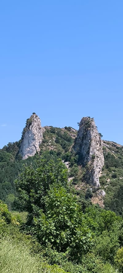The image shows two rocky outcrops with sparse vegetation on the slopes of a mountain under a clear blue sky. In the foreground, there is dense green foliage, including a large tree with compound leaves and various bushes and grasses. The rocky outcrops are tall and jagged, with lighter colored rock faces and darker patches indicating vegetation growth. The mountain slopes are covered in a mix of trees and scrub. The scene depicts a natural, outdoor environment. The location is identified as being in the city of Berga, Spain. There are no people or any discernable actions or interactions visible in the image.